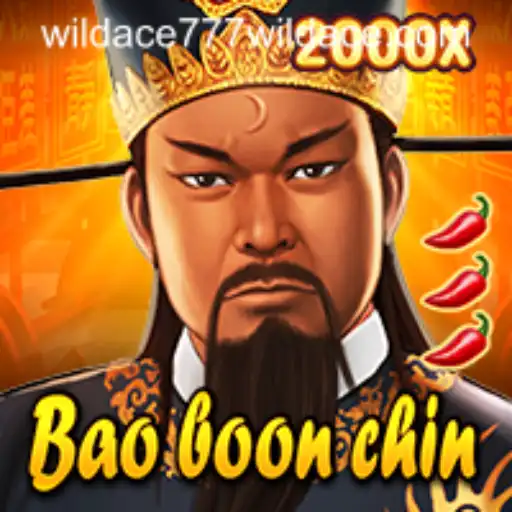 Exploring the World of BaoBoonChin: A Comprehensive Guide